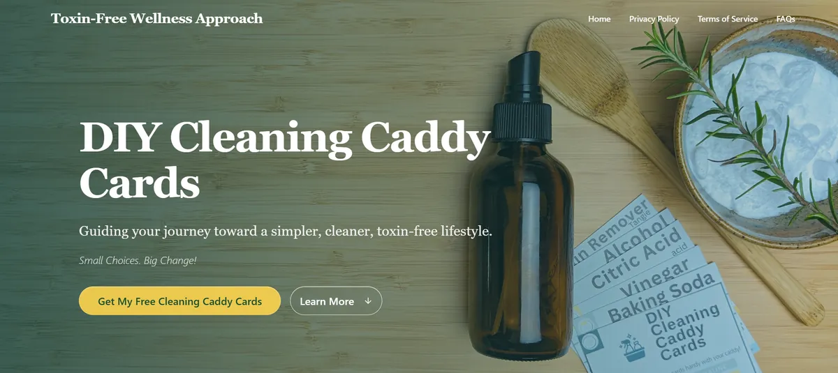 Homepage screenshot of Toxin-Free Wellness Approach, a wellness and non-toxic living resource website — designed and optimized by SEO Tier 1